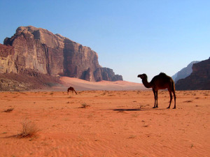 WE wadi rum