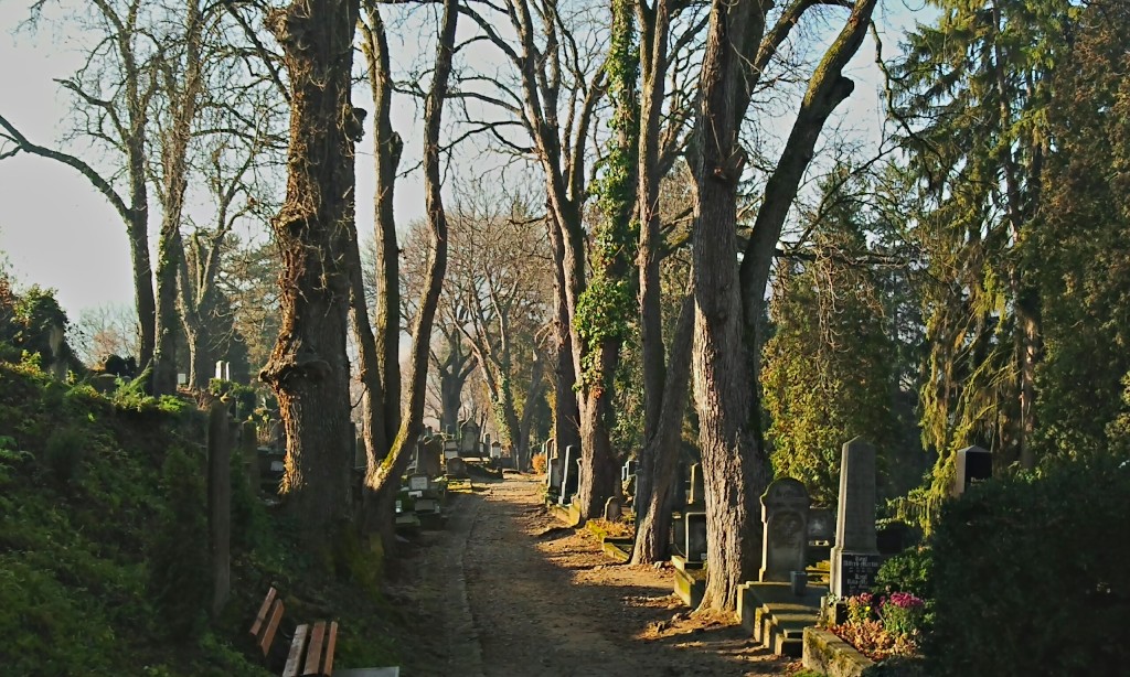 Sighisoara cemetery - photo by our guide