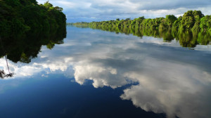 Photo: by Dawn on the Amazon, Nanay River