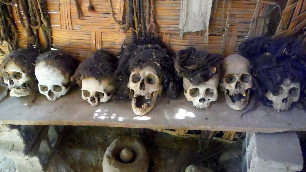 2,000 year old Nazca skulls in Peruvian garden shed. (Photo by Kirsten Koza)