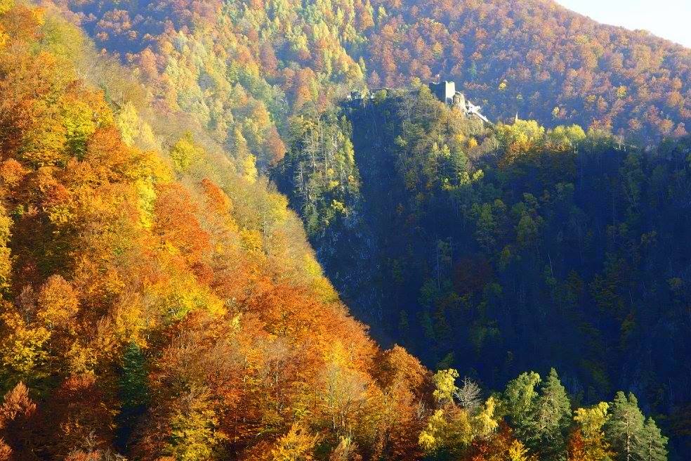 The ruins of Poenari (AKA Dracula's Vulture's Nest) Transylvania, Romania. (Photo by our local Romanian guide and expert)