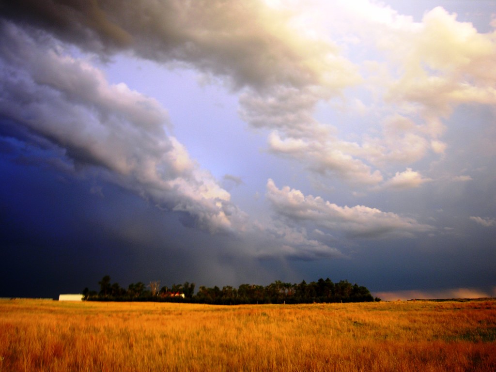 I recognized the exact field in Nebraska from my first storm chase. (Photo by Kirsten Koza)