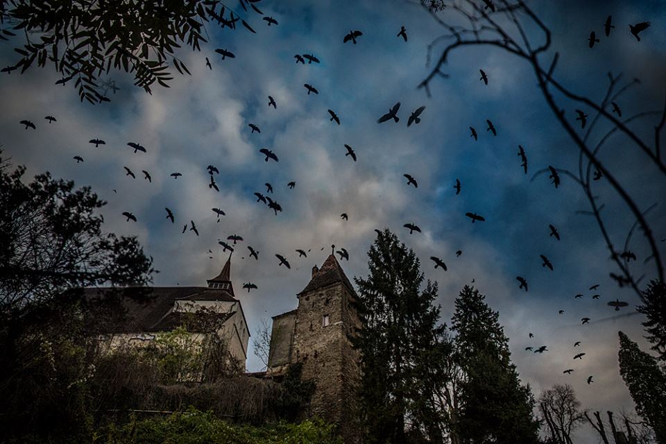 When we entered the cemetery in Sighisoara (the birthplace of Vlad Dracula) we were greeted by an Alfred Hitchcock sky. (Photo by Writers' Expeditions's photography host Christopher Campbell).