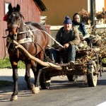 Horse wagons are a common in Romania (Photo by Kirsten Koza)