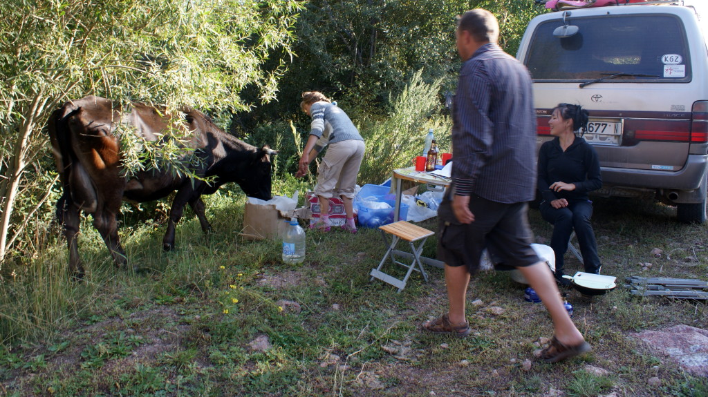 I didn't normally travel with a team of babysitters. (Photo by Kirsten Koza)