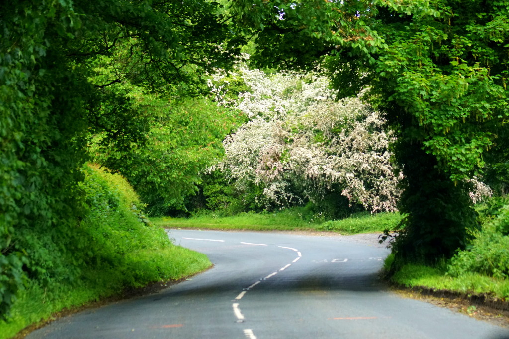 Driving through the Yorkshire Countryside in the Spring (photo by Kirsten Koza)