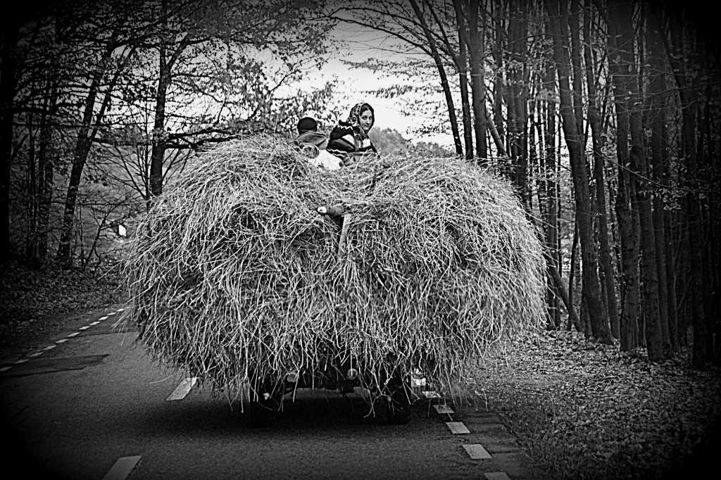 You'll see horse wagons like this on our scenic drive through Transylvania's Carpathian mountains (photo by your host, Kirsten Koza, Writers' Expeditions)