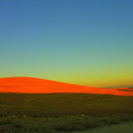 Setting sun reflects off the dunes in Jordan. (Photo by Kirsten Koza, Writers' Expeditions)